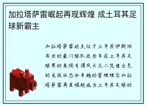 加拉塔萨雷崛起再现辉煌 成土耳其足球新霸主